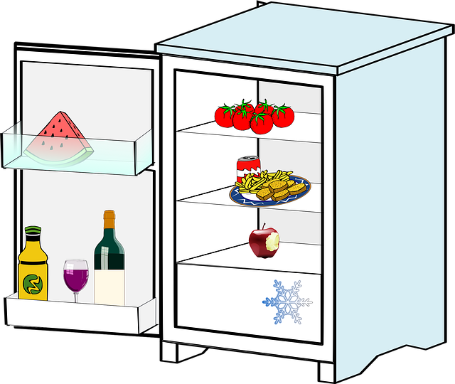 refrigerator, kitchen, appliance, fridges, home, electric, food, ice, refrigerator, refrigerator, refrigerator, refrigerator, refrigerator