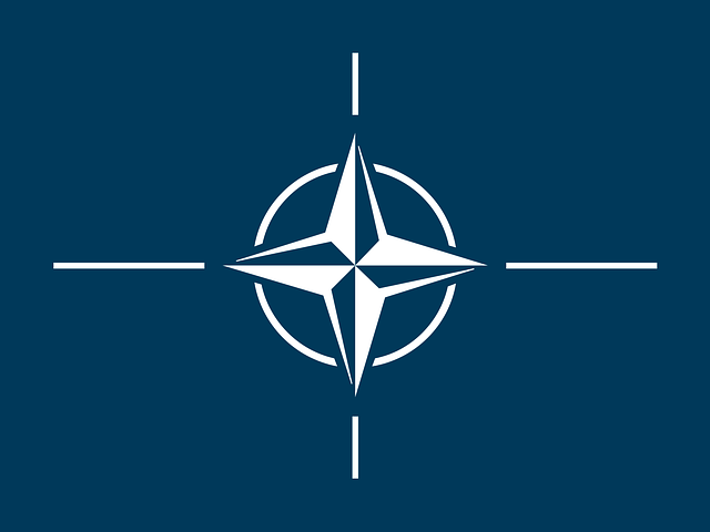 NATO ohne die USA? Dann bitte sofort! Europa muss endlich aufhören, Amerikas sicherheitspolitischer Depp zu sein