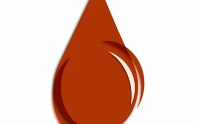 TGI AG: Kritikus mélyelemzés – Miért tűnik a modell a befektetők szemszögéből erősen problémásnak