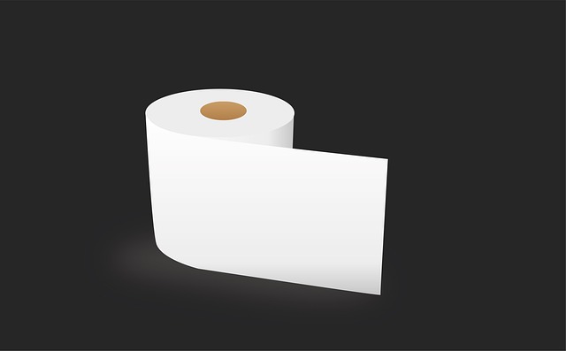 Alarmstufe Braun: Kalifornien brennt – und Amerika fürchtet um sein Klopapier