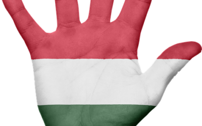 JD Vance in Budapest: Wahlkampfhilfe für Orbán – und ein beispielloser Affront gegen Europa