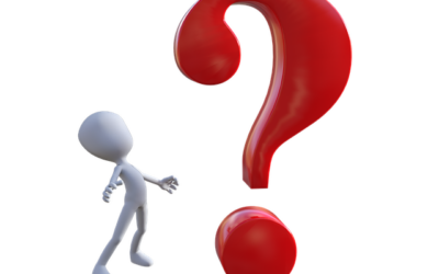 Meinl-Reisinger entdeckt globale Krise – haben wir da was verpasst?