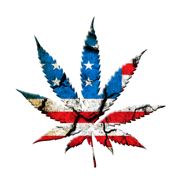 Erst belächelt, dann bekifft: Warum Amerikas Frauen lieber zum Cannabis greifen als zum Arzt
