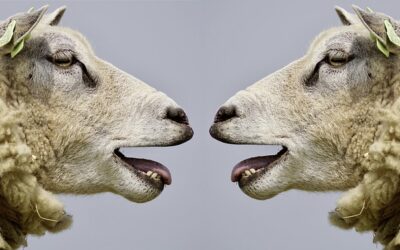 Die Gespräche in Islamabad zwischen den USA und Iran sind gescheitert.