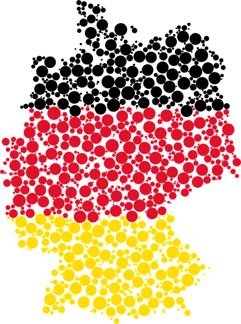 Die Deutsche Demokratie