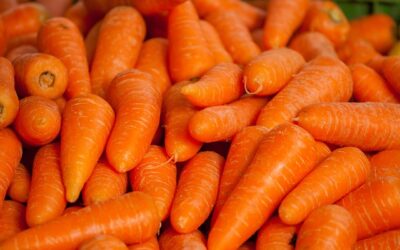 Ernährungsschock 2026: Experten empfehlen jetzt tatsächlich Gemüse