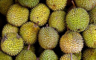 Durian-Tsunami in Malaysia: Luxusfrucht wird verramscht – teilweise sogar verschenkt