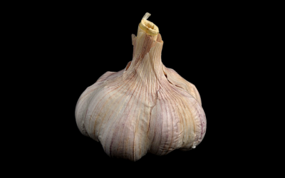 Eigenlob