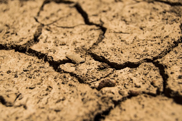 drought, aridity, dry, earth, soil, brown, ground, arid, erosion, barren, land, drought, drought, drought, drought, drought, earth, earth, soil, soil, soil, soil, land