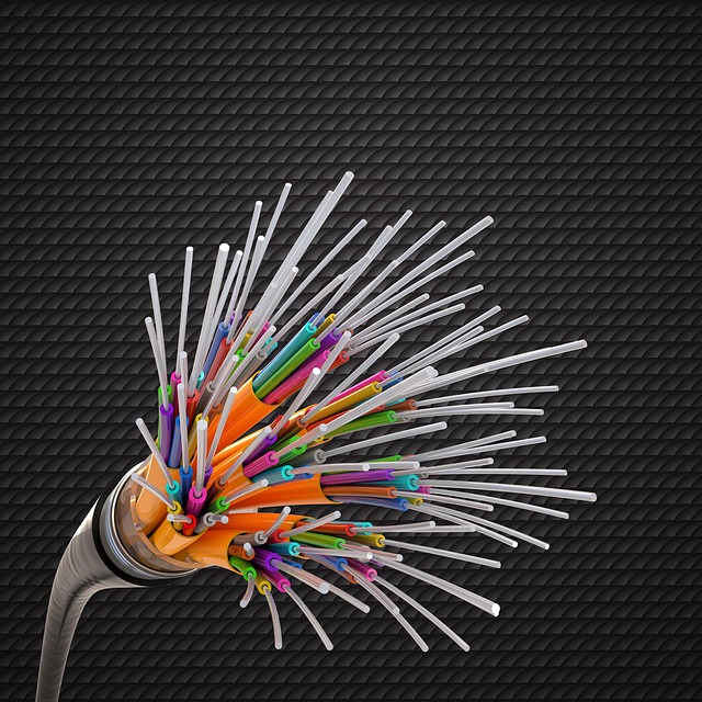 glass fiber, network, internet, connection, cable, data, data transfer, digitization, technology, flexible, cable, cable, cable, cable, cable