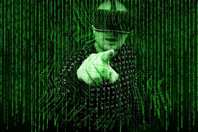 Herr Kaltenegger, ein Beleg würde manchmal Wunder wirken