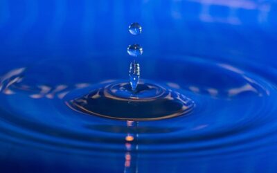 Wien bekommt mehr Wasser – weil der Sommer offenbar beschlossen hat zu bleiben