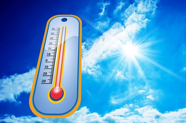heat, summer, sun, nature, heat record, heat free, humid, tropical, uv radiation, shine, heaven, warmth, vacations, sea, sweat, photography