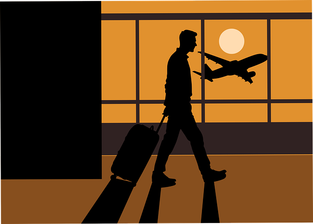 travel, airport, flight, silhouette, vacation, airplane, tourism, journey, destination, adventure, luggage, holiday, trip, transport, explore
