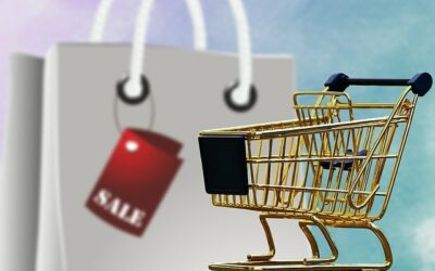 Crowdinvesting: Acht Prozent Zinsen, 100 Prozent Abenteuer