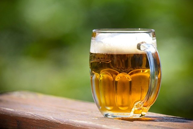 beer, drink, glass, pilsner, alcohol, beer head, beer foam, beverage, brewed, beer glass, pub, beer, beer, beer, beer, beer, pilsner, pilsner, pilsner, pilsner