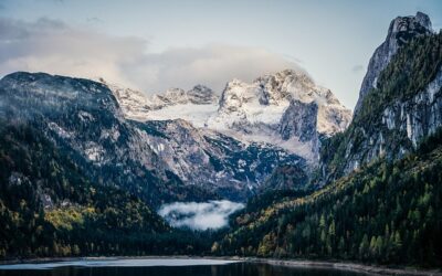 Verbraucherrecht aktuell in Österreich: Strengere Greenwashing-Regeln und neue Rechte ab Oktober