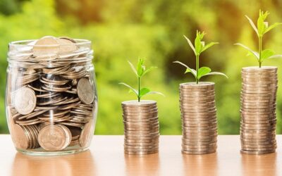 Österreichs Wirtschaft: Milliardenkosten durch Klimaschäden, vorsichtige Konjunkturerholung und neue Investitionsprogramme