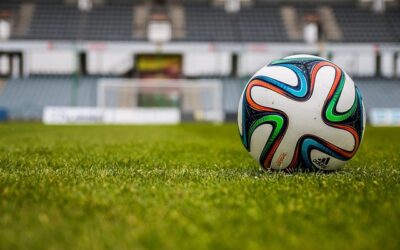 Bundesliga kompakt: Was sich bei allen zwölf Klubs in den letzten 24 Stunden getan hat