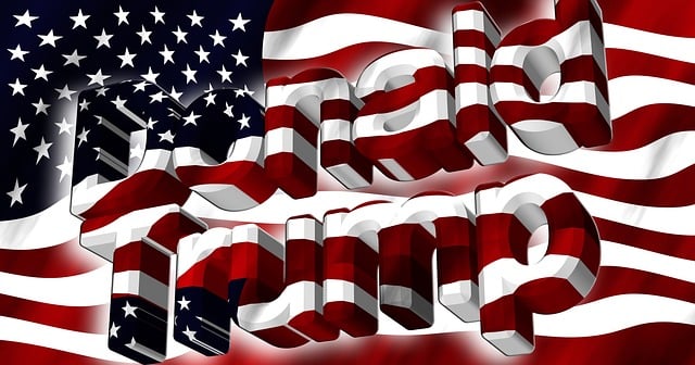usa, america, trump, donald, banner, stars, strip, red, white, flag, blow, wind, flutter, character, trump, trump, trump, trump, trump